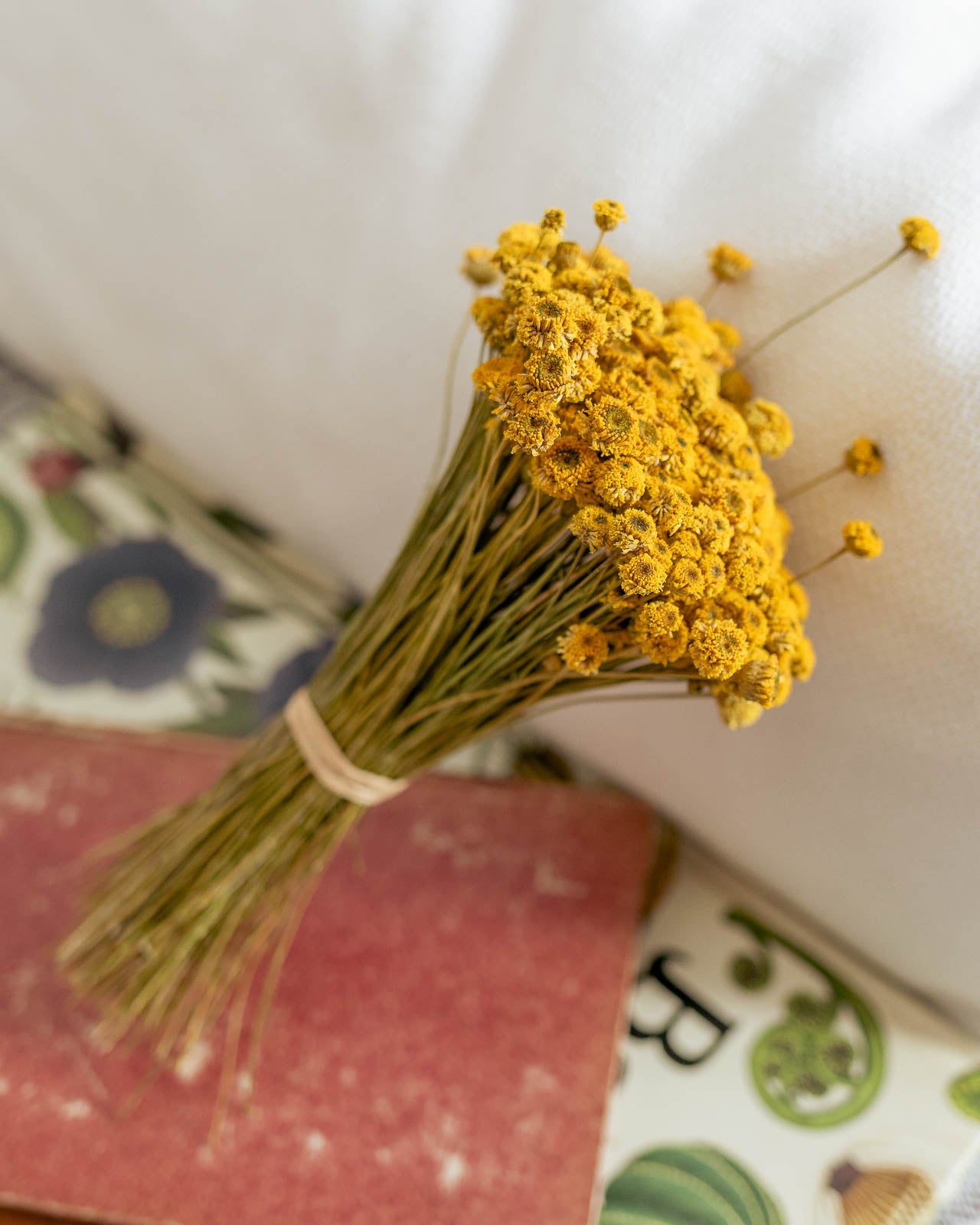 Ramillete de flor camomila