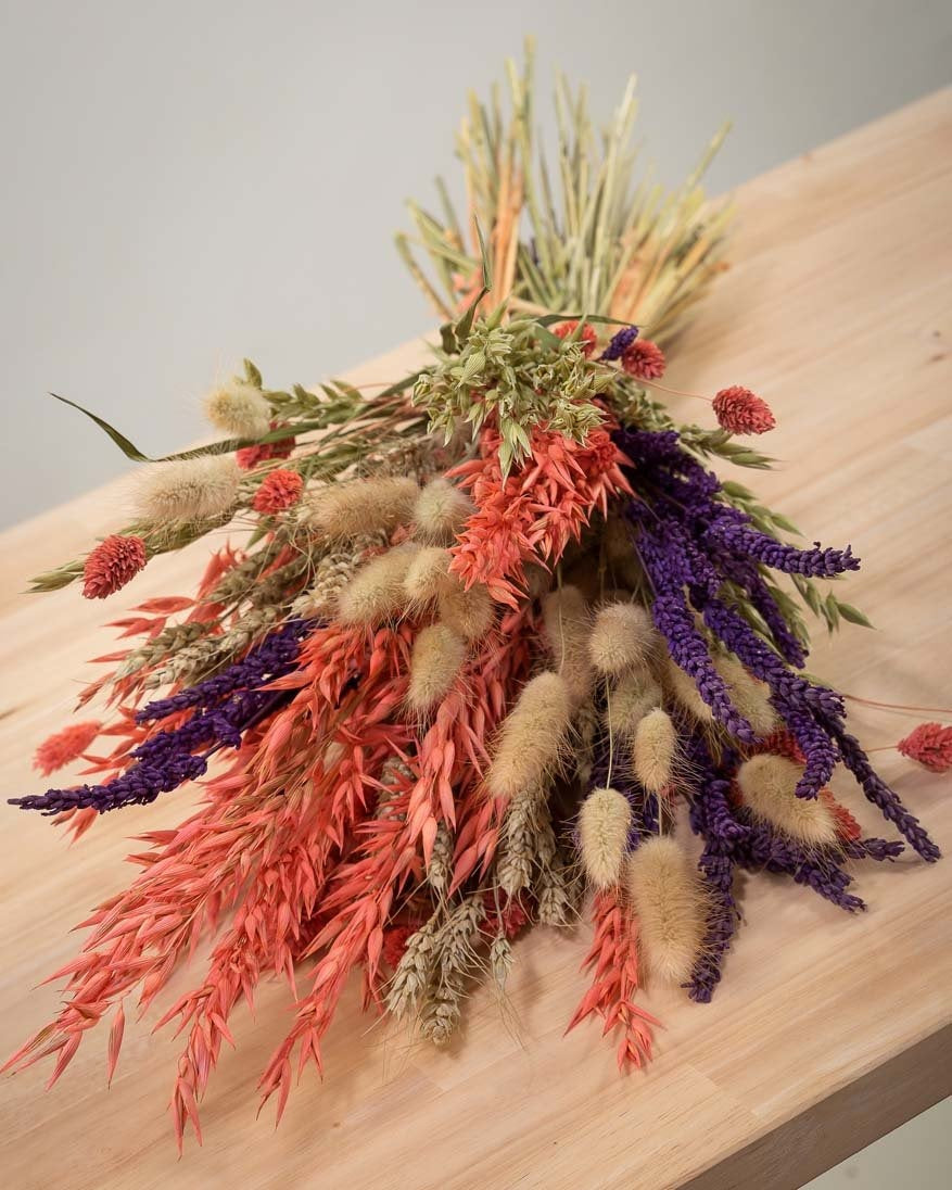 avena lagurus y lavanda