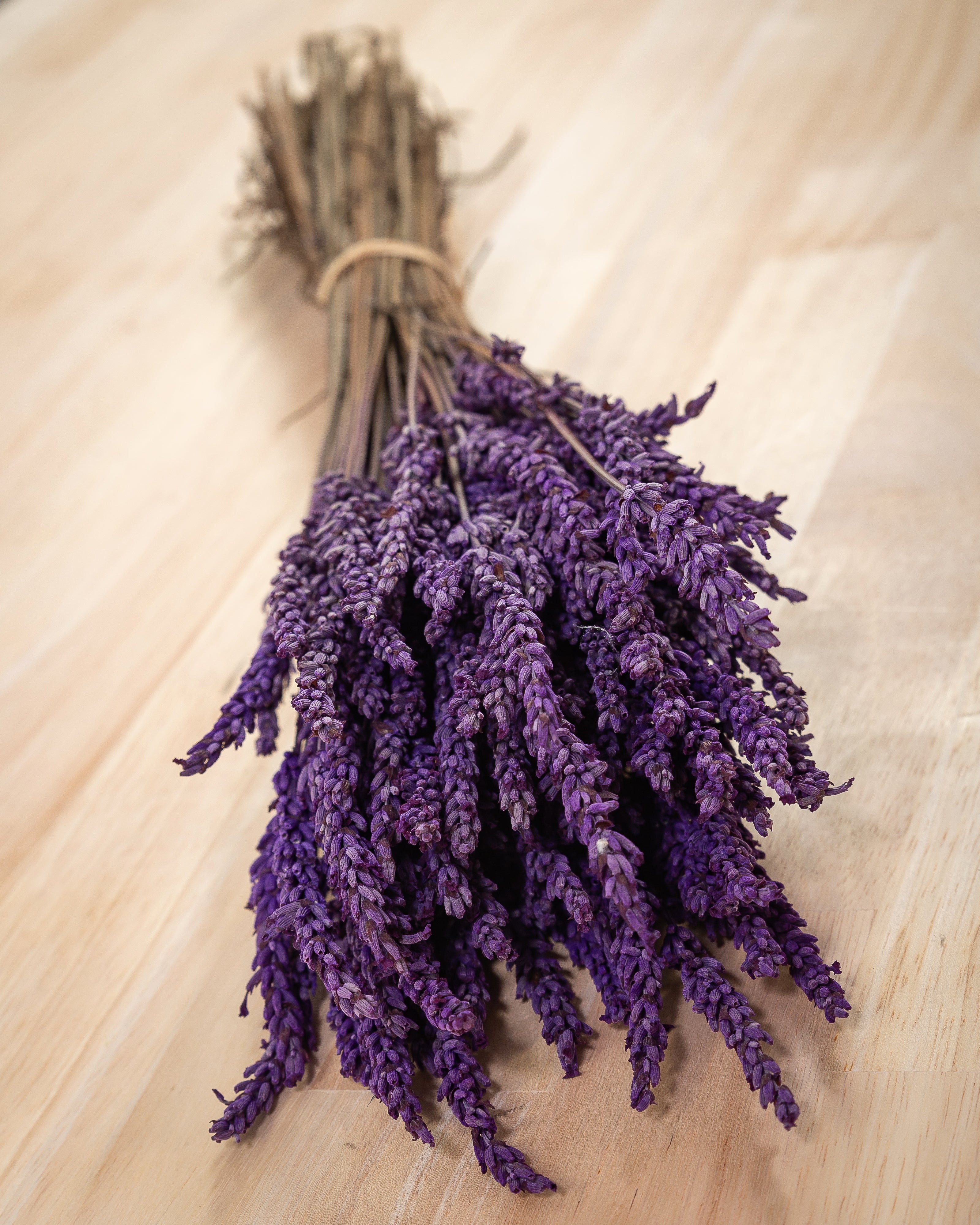 Lavanda preservada ramillete