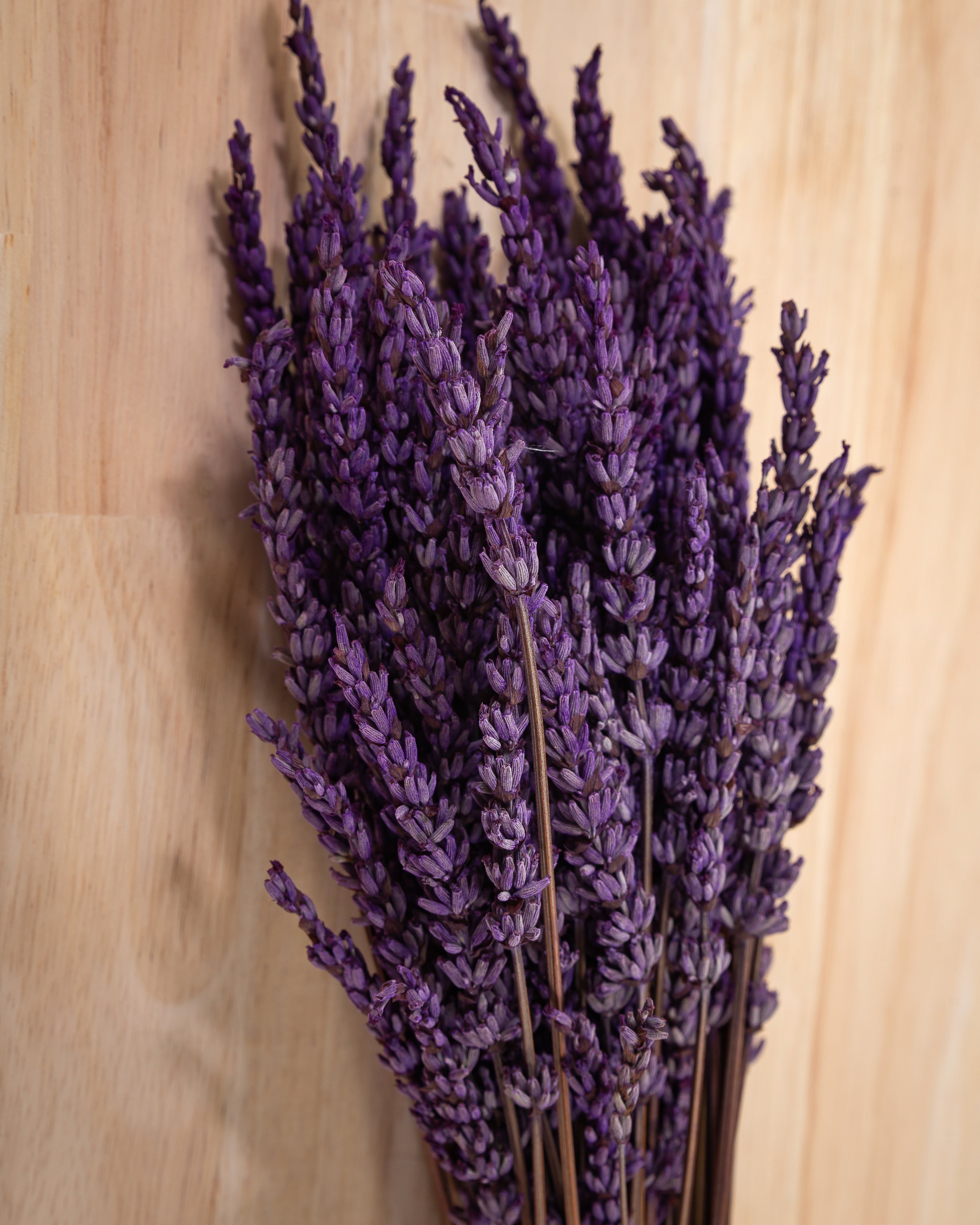 RAMO LAVANDA