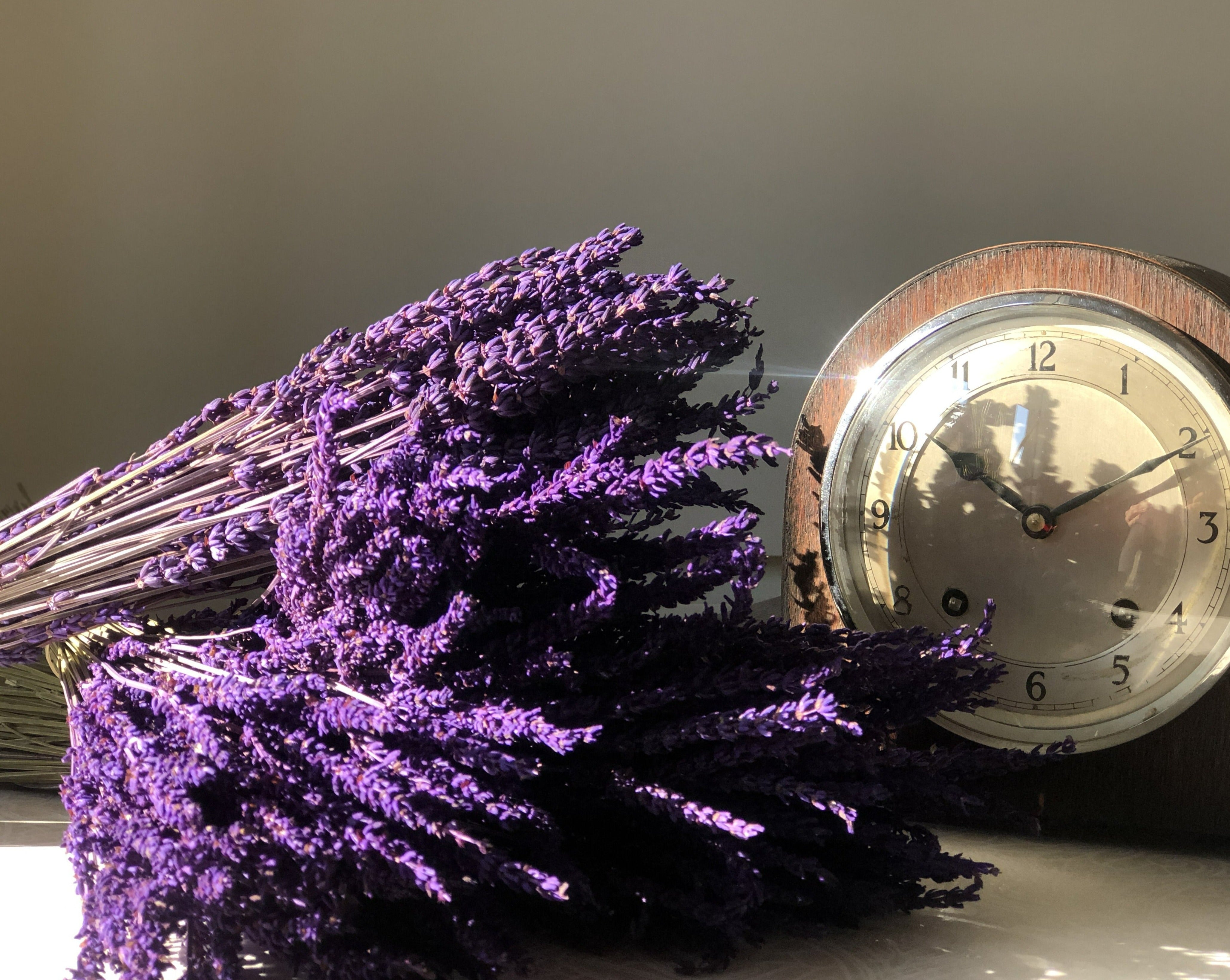 Ramillete lavanda preservada morada
