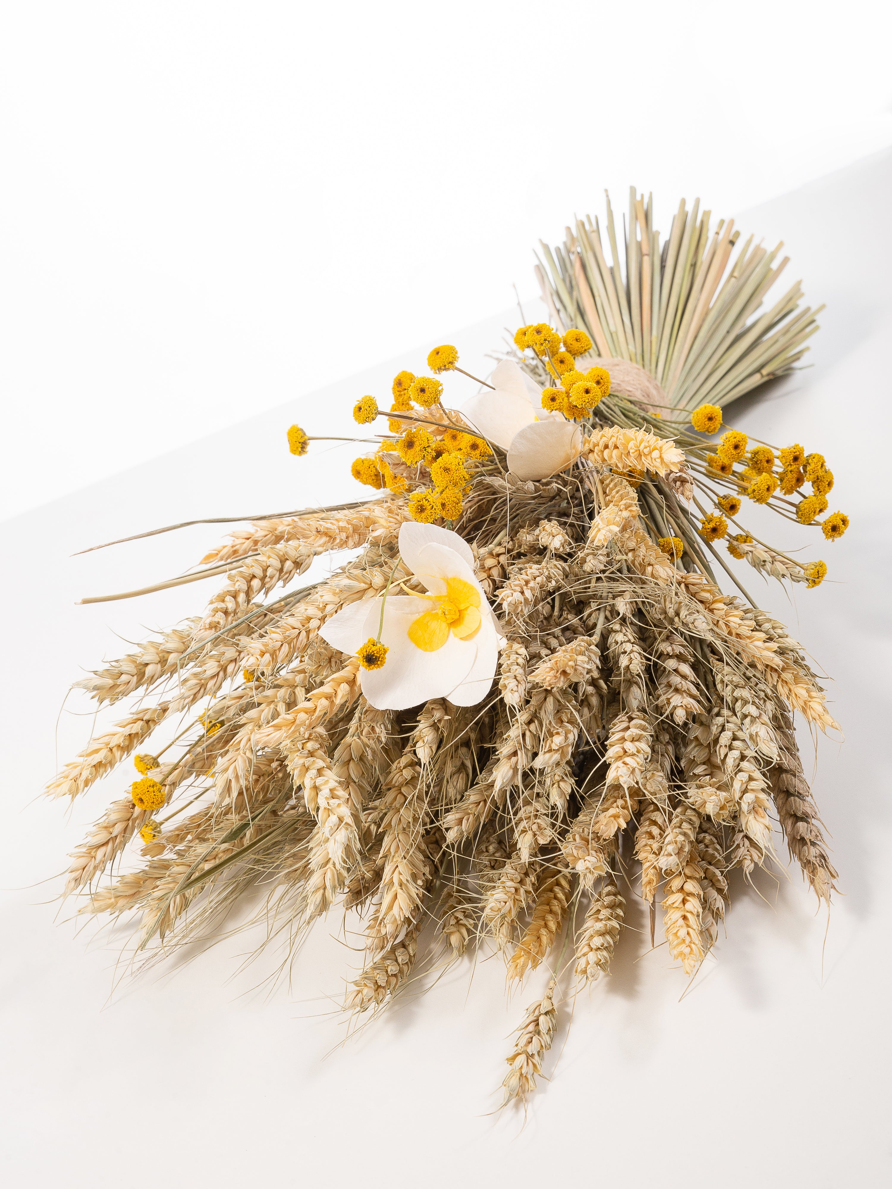 orquídeas preservadas y trigo