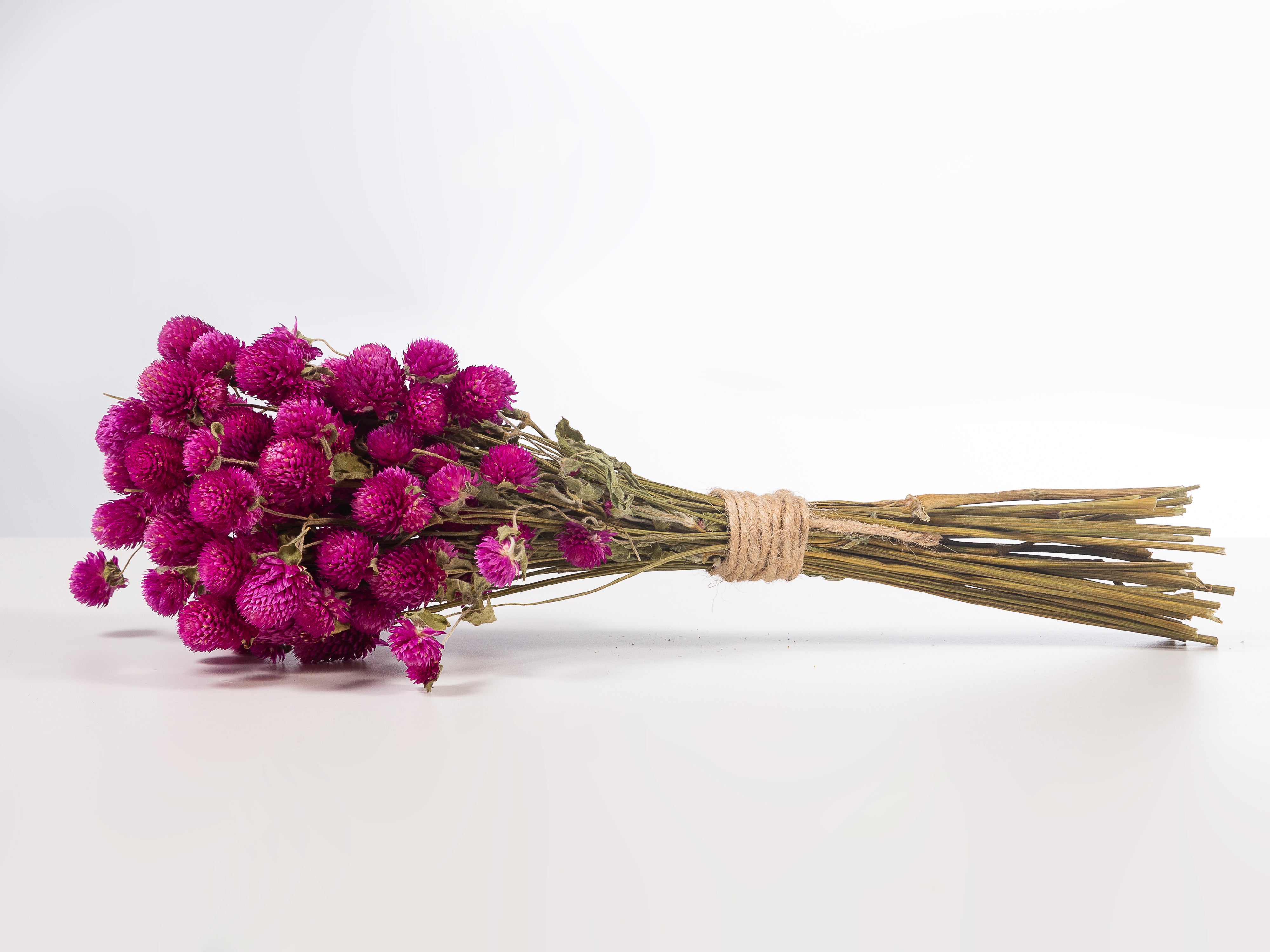 Ramillete perpetuina