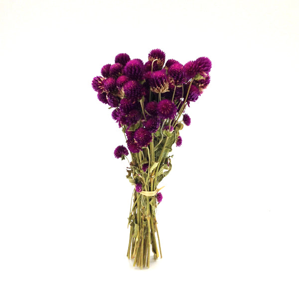 Ramo Gomphrena morado