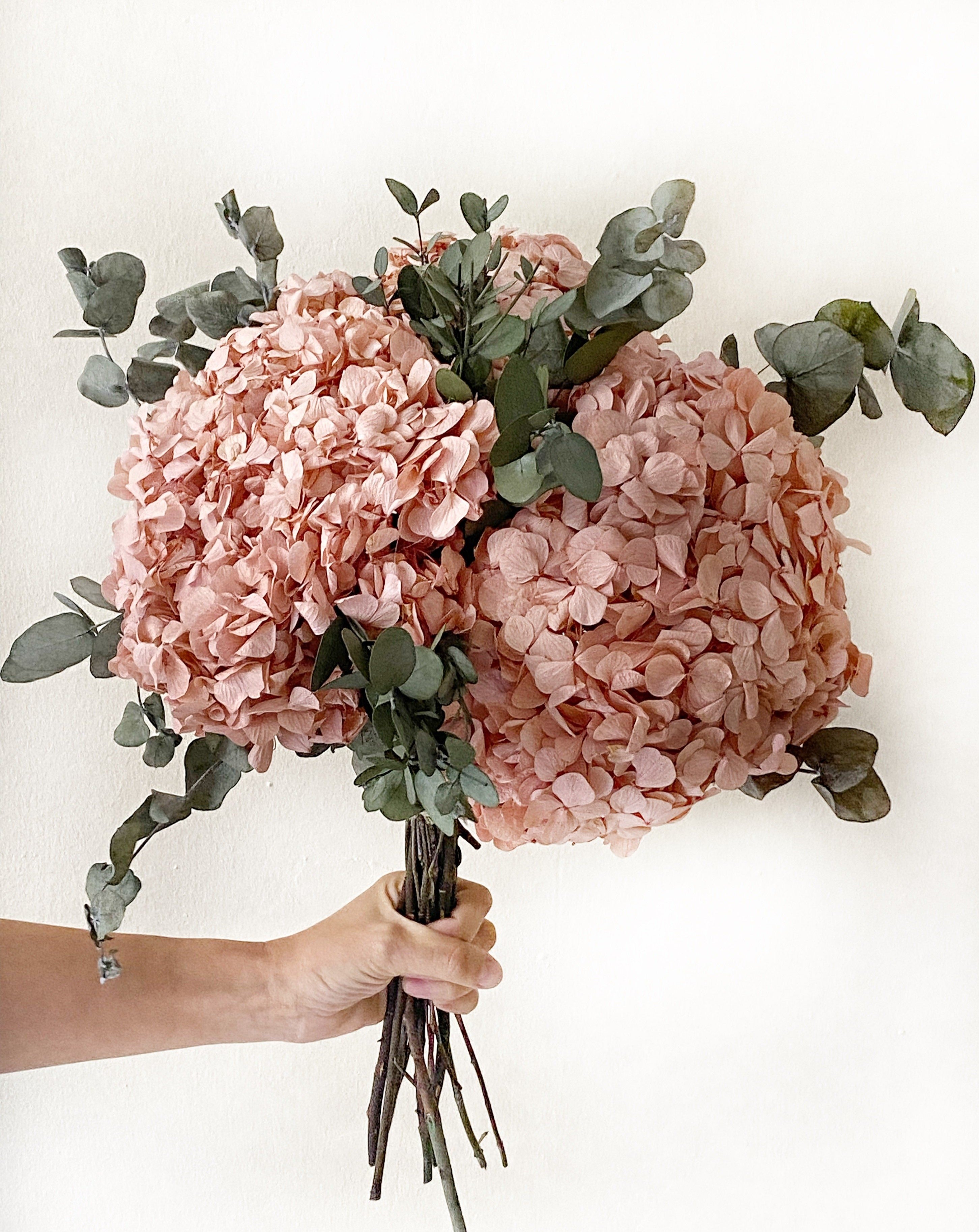 eucalipto cinerea y hortensia