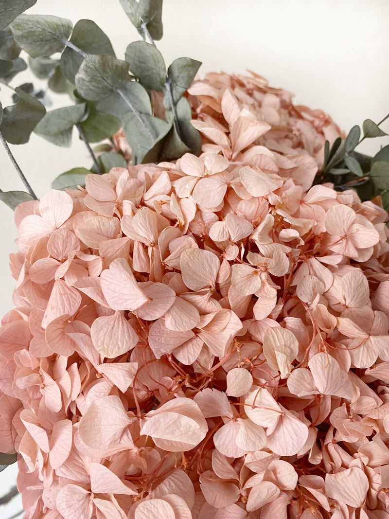 hortensia preservada rosa grande