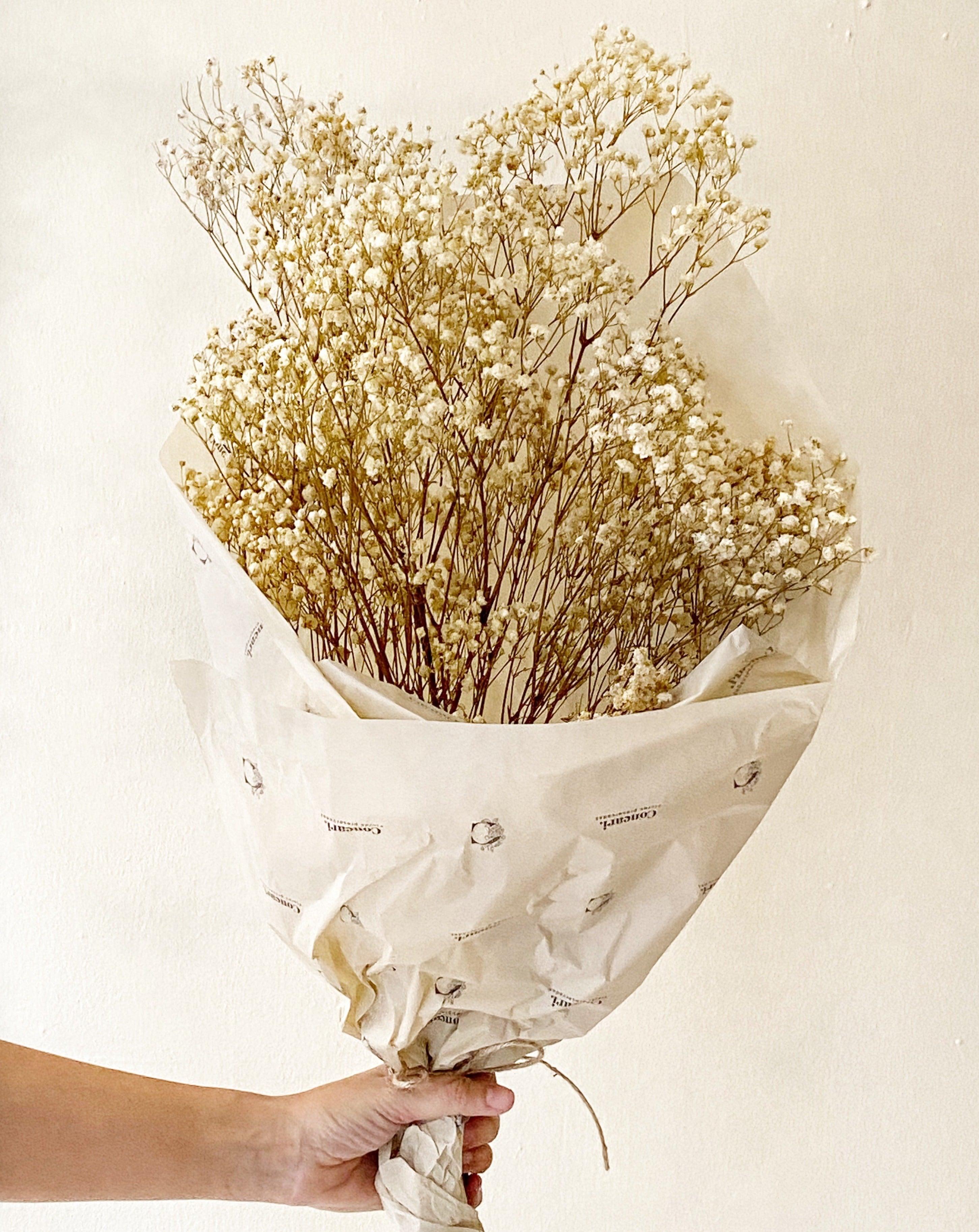 ramo gypsofila blanca