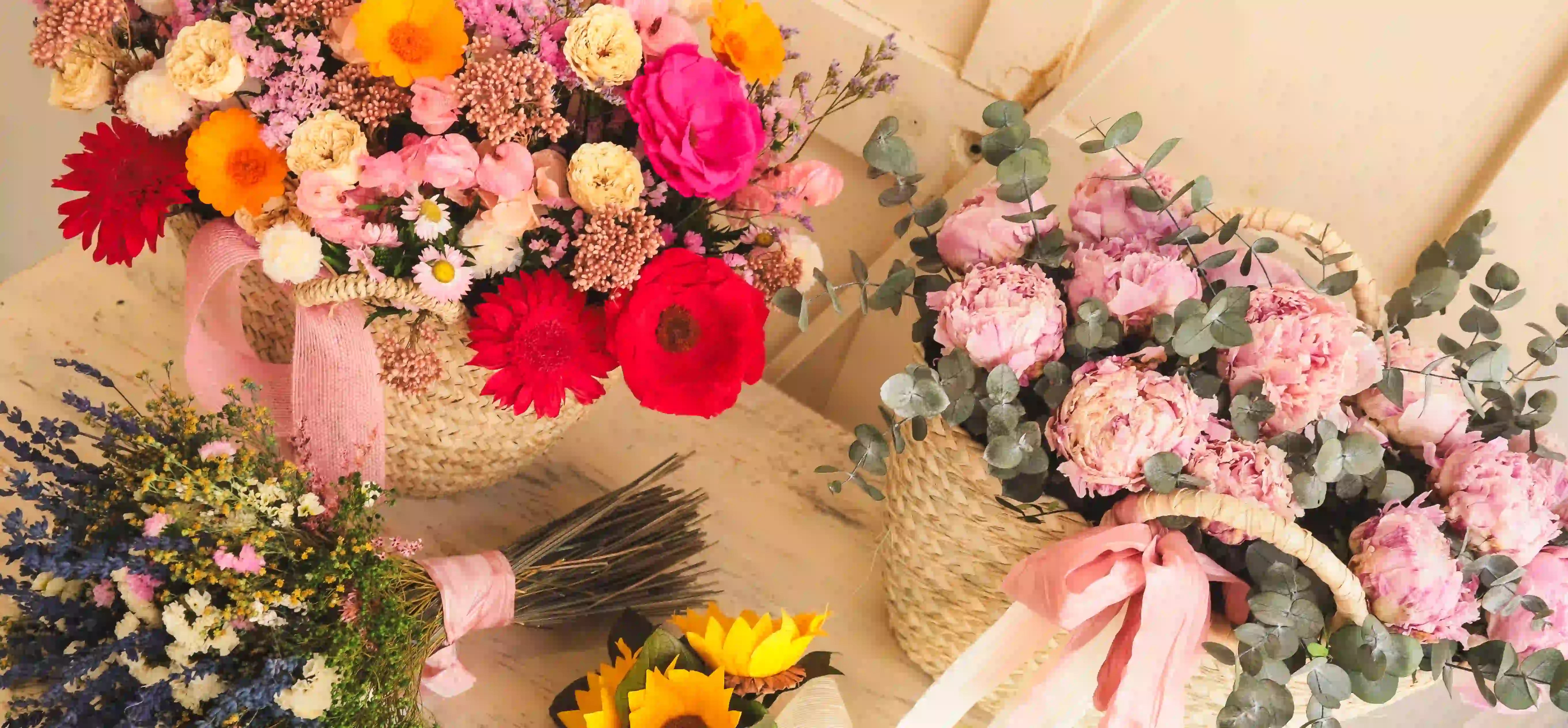 Mejores plantas para verano