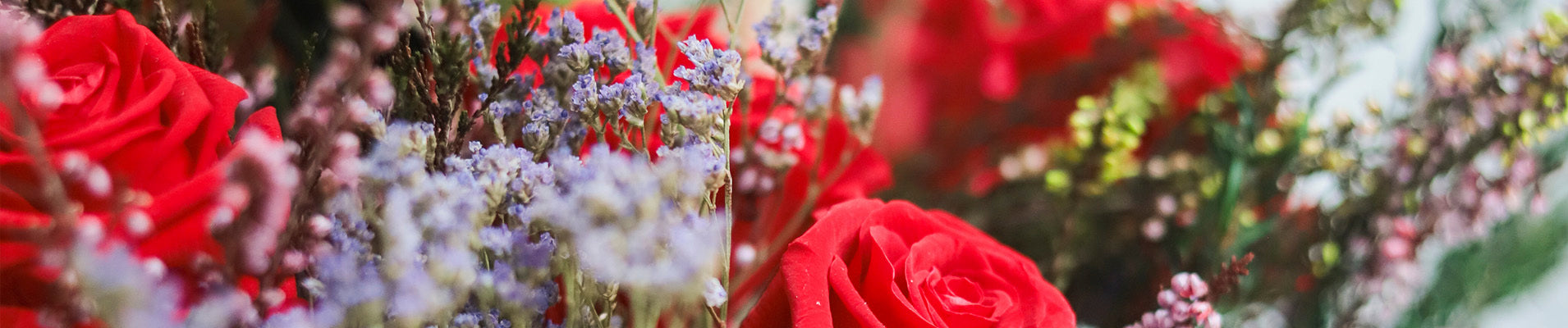 Flores para regalar a una madre: Qué elegir según su personalidad y significado