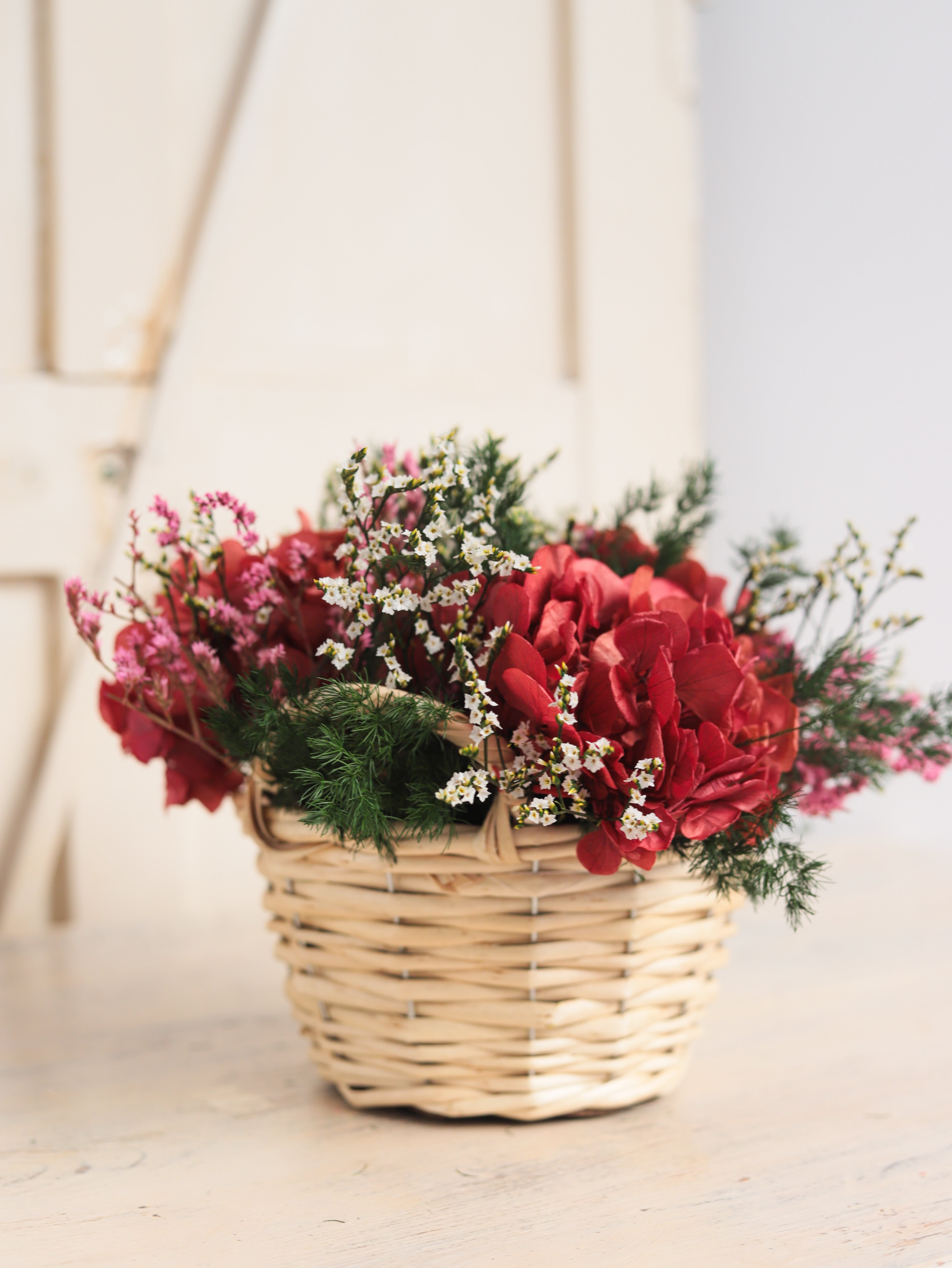 hortensias preservadas