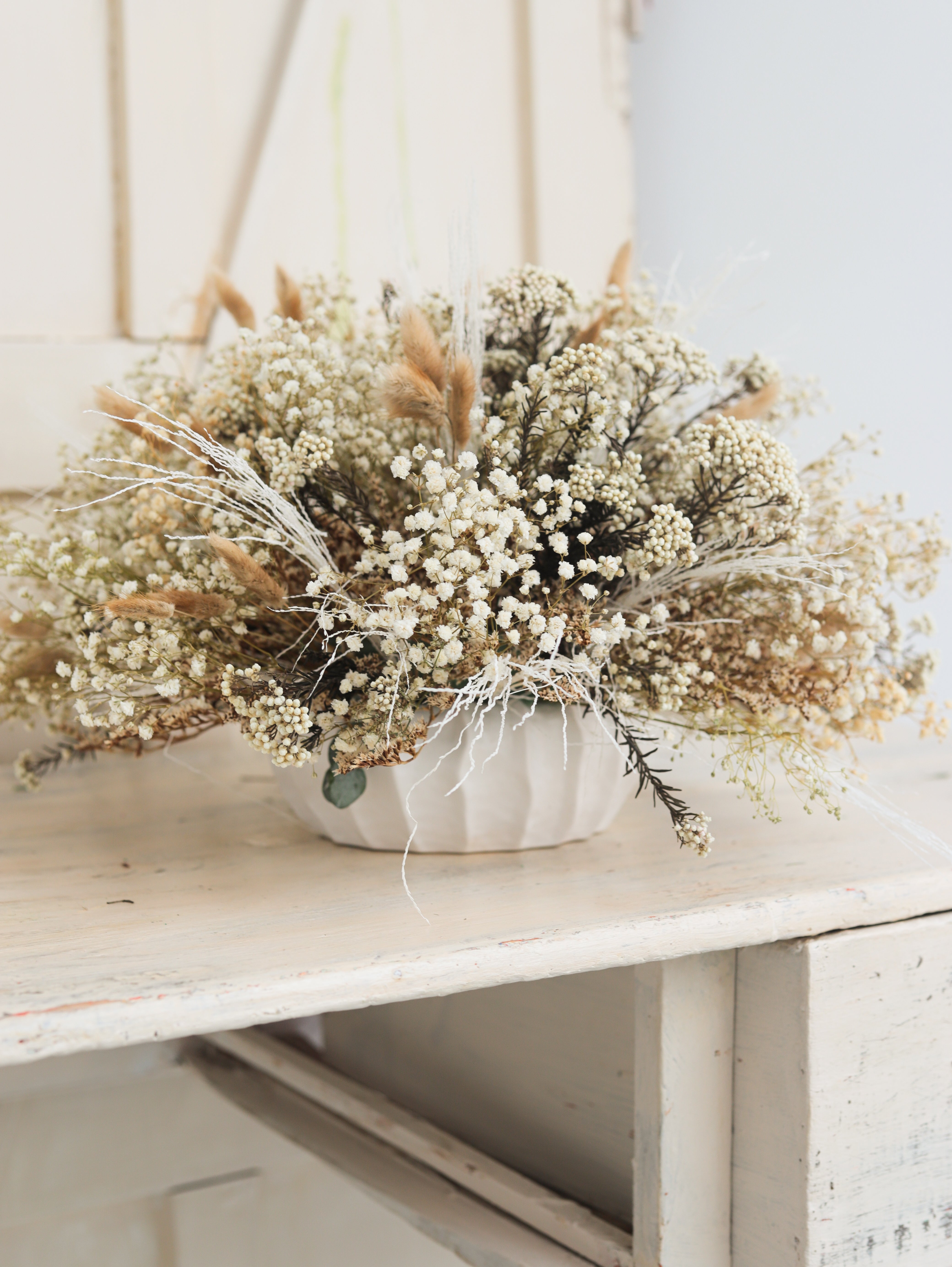 centro preservado paniculata