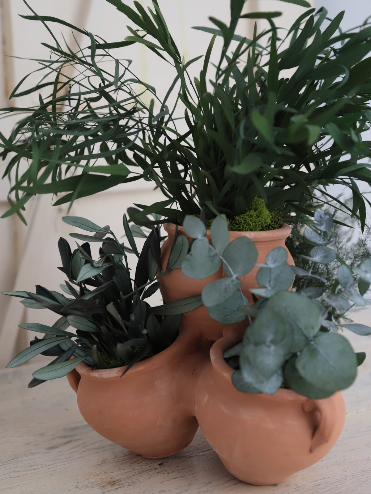 PLANTA ALMA VERDE