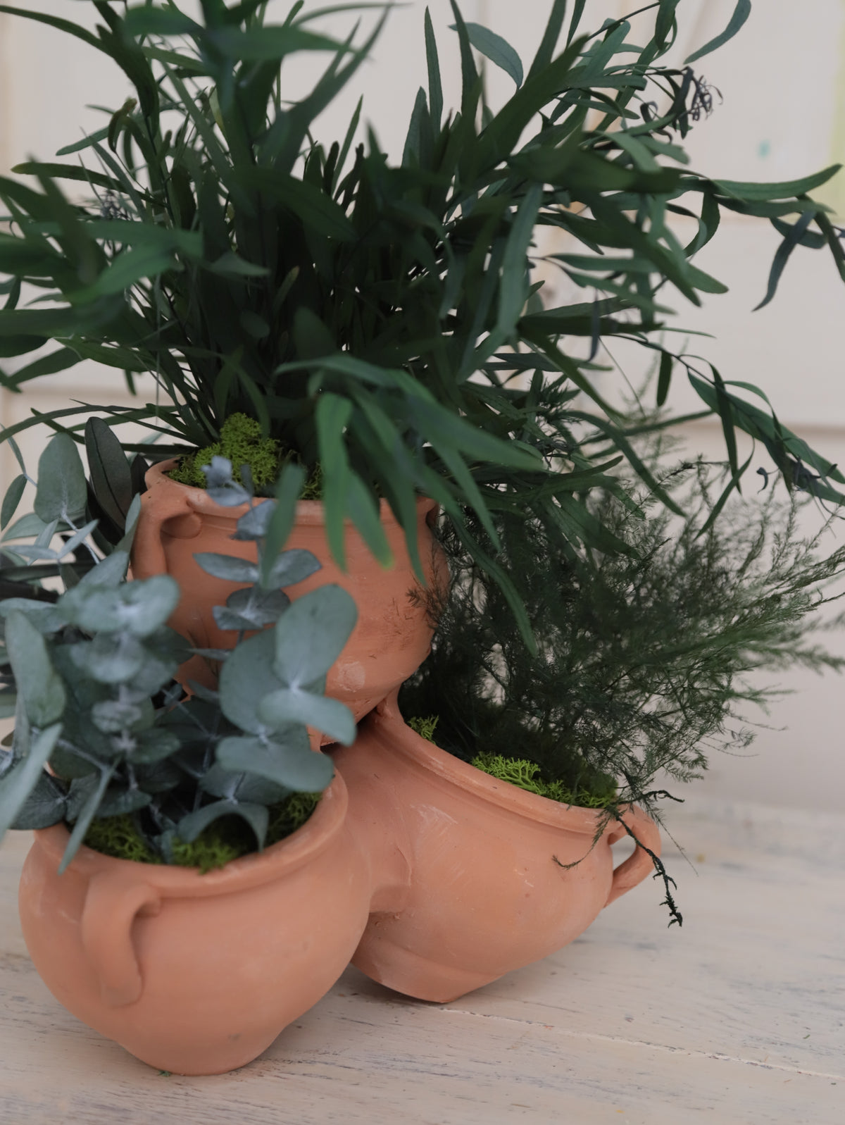PLANTA ALMA VERDE