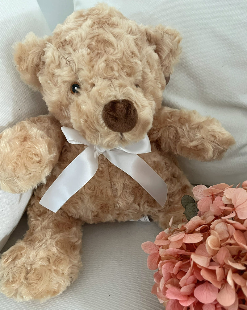 Osito Peluche