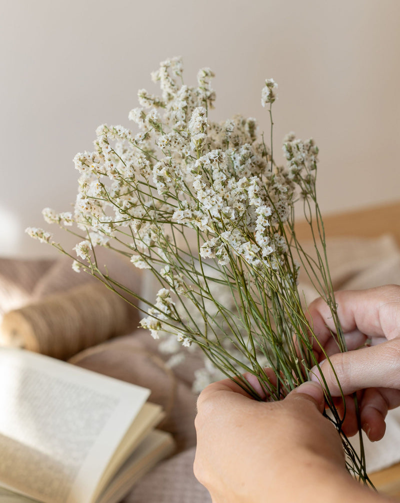 LIMONIUM