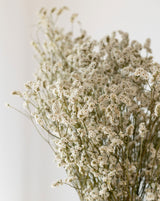 LIMONIUM