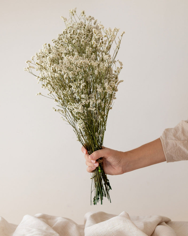 LIMONIUM