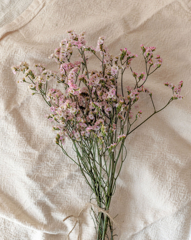 Flor limonium preservado rosado 