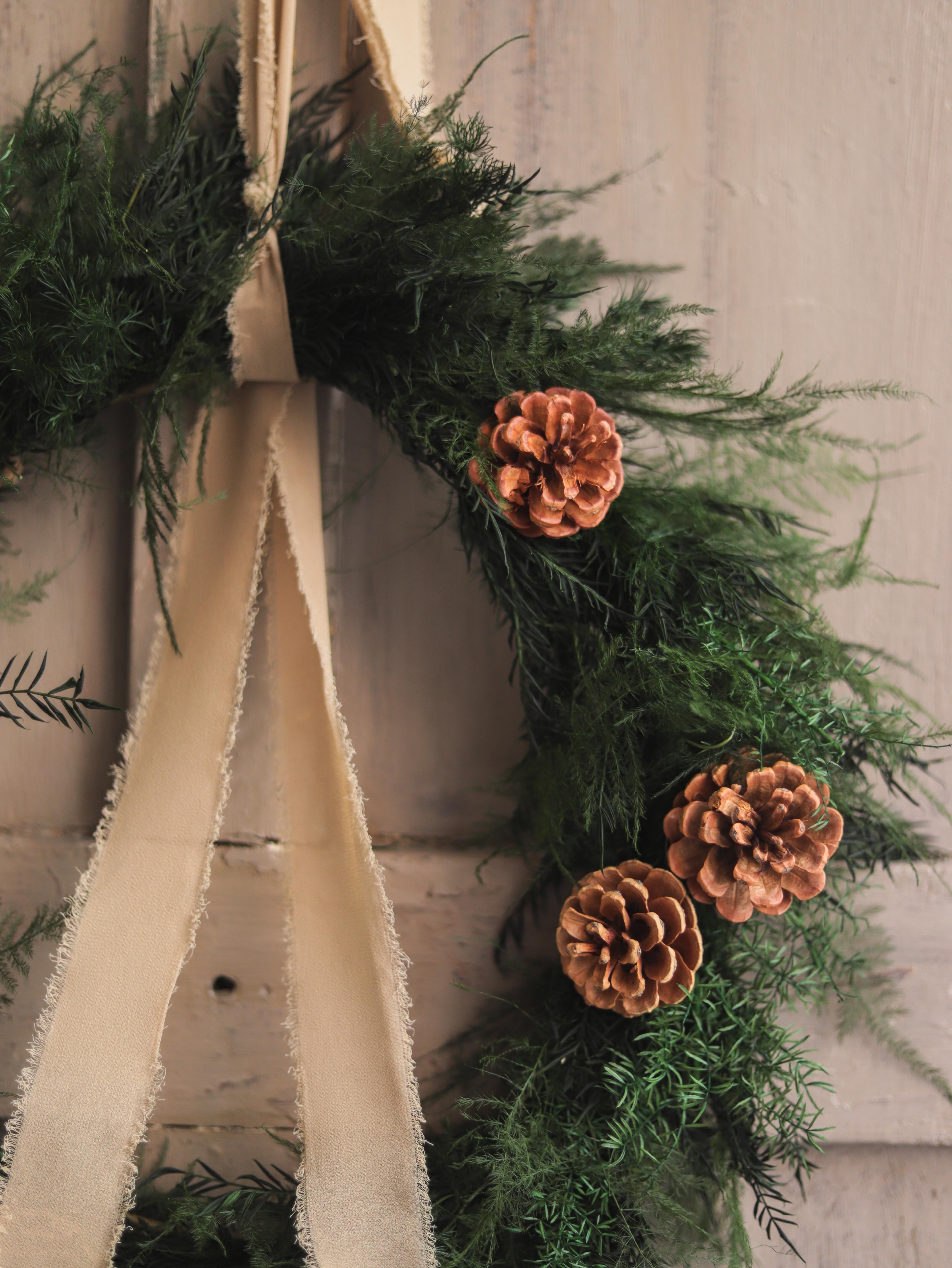 Corona piñas navidad preservada