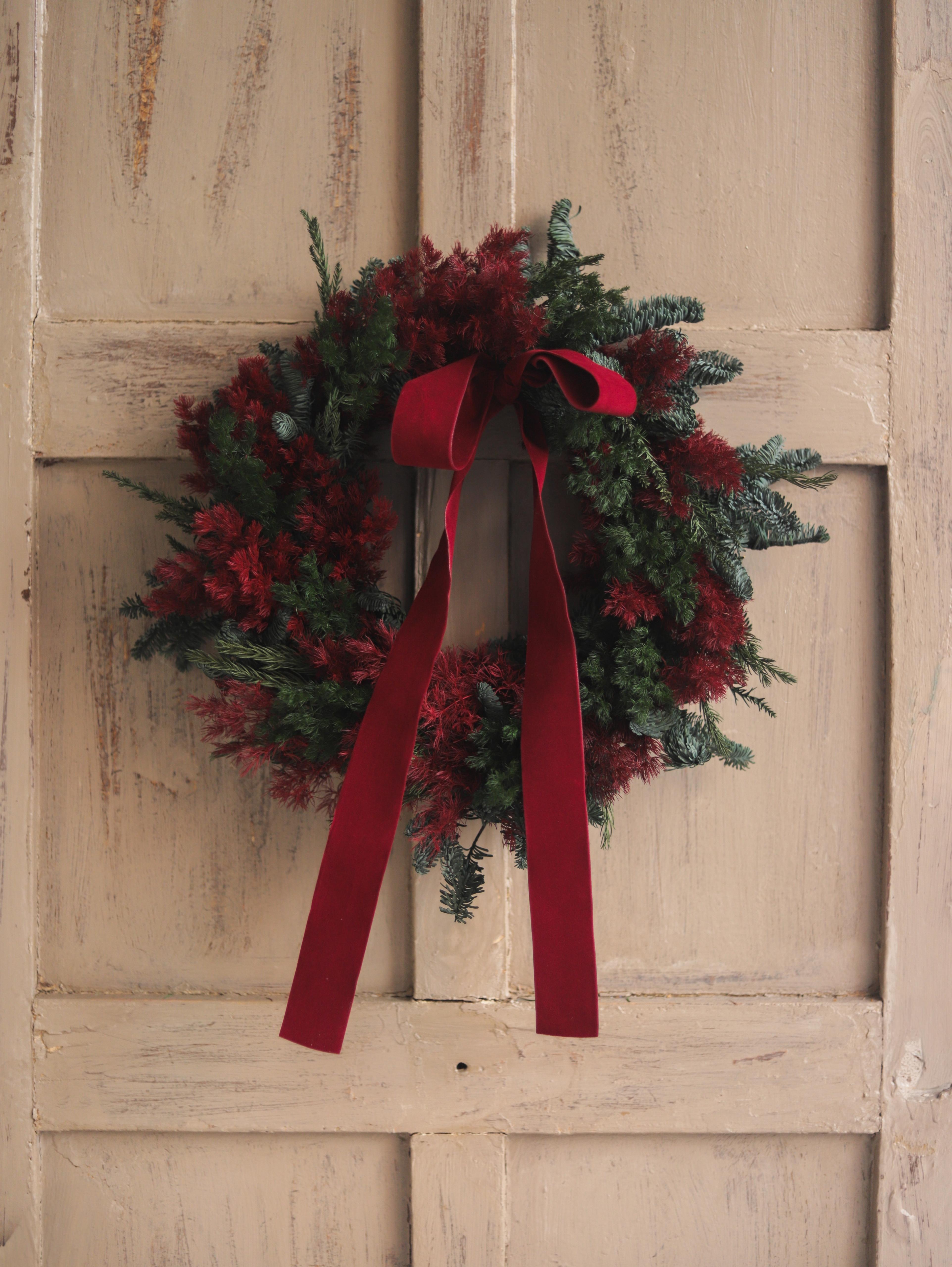 Corona pino preservado