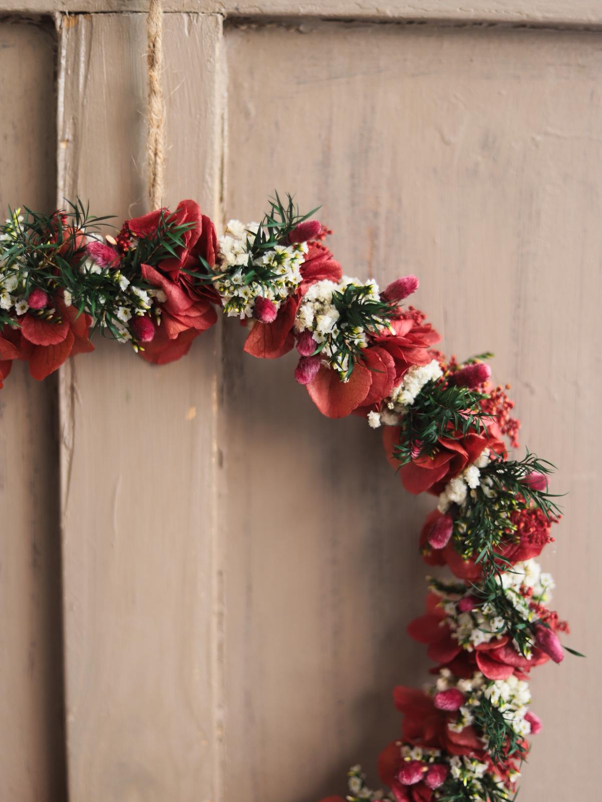 Navidad hortensia preservada