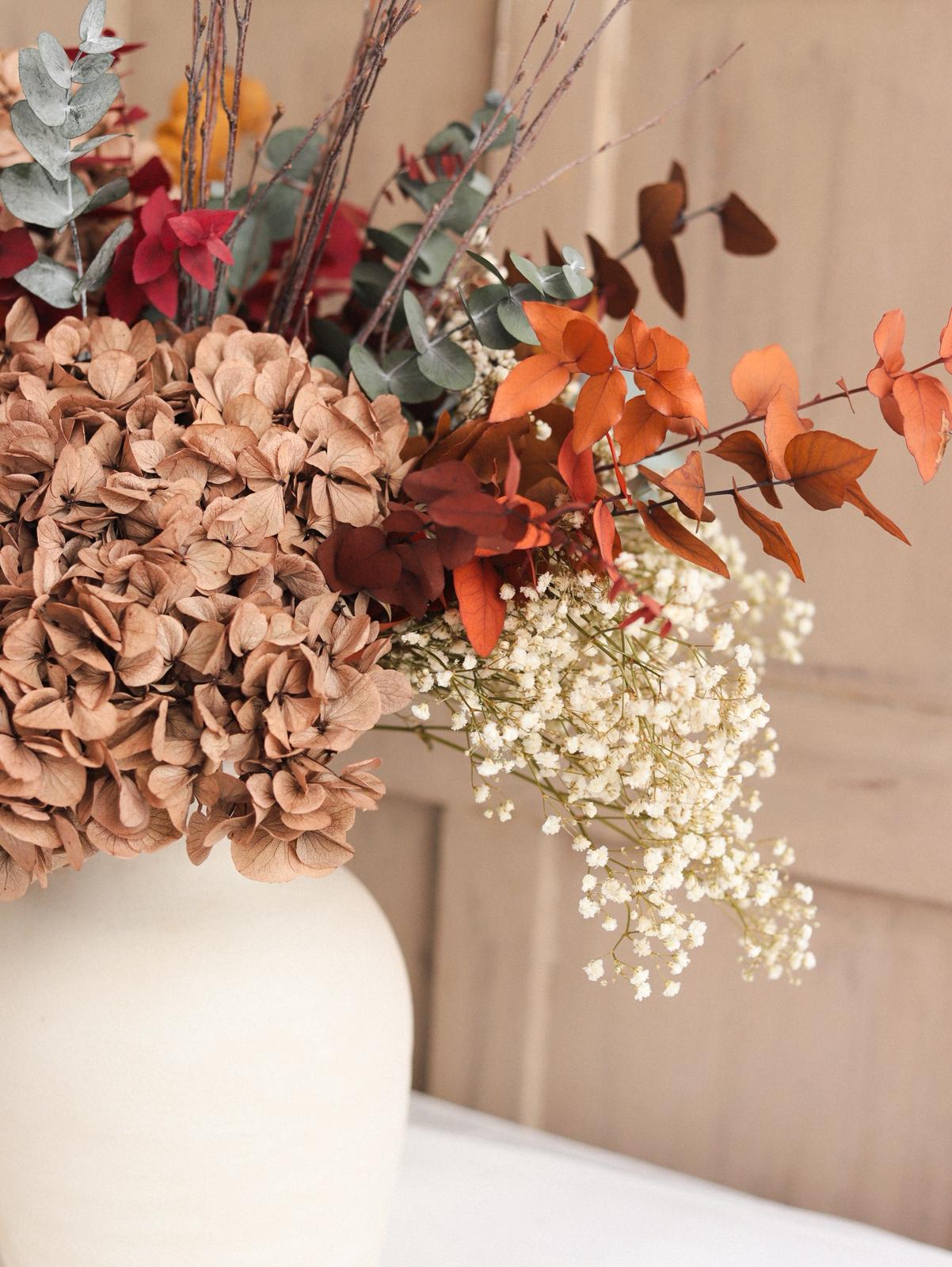 hortensia ocre preservada