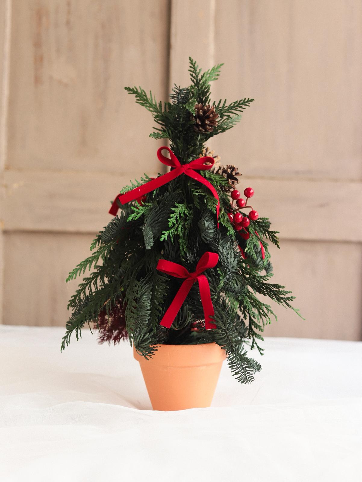 Arbol de Navidad preservado