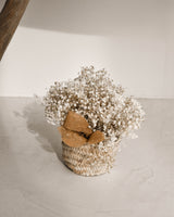 WILD BASKET