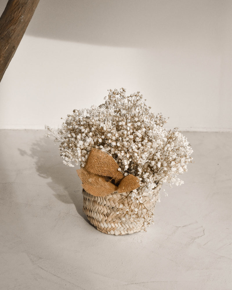 WILD BASKET