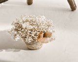 WILD BASKET