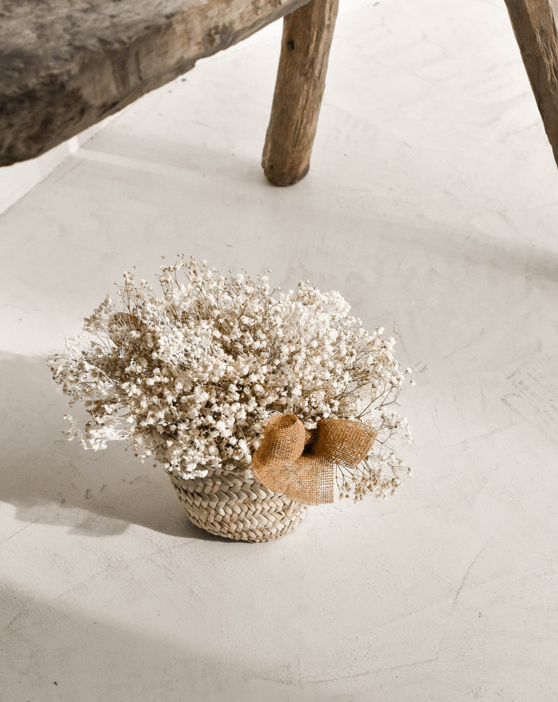 WILD BASKET