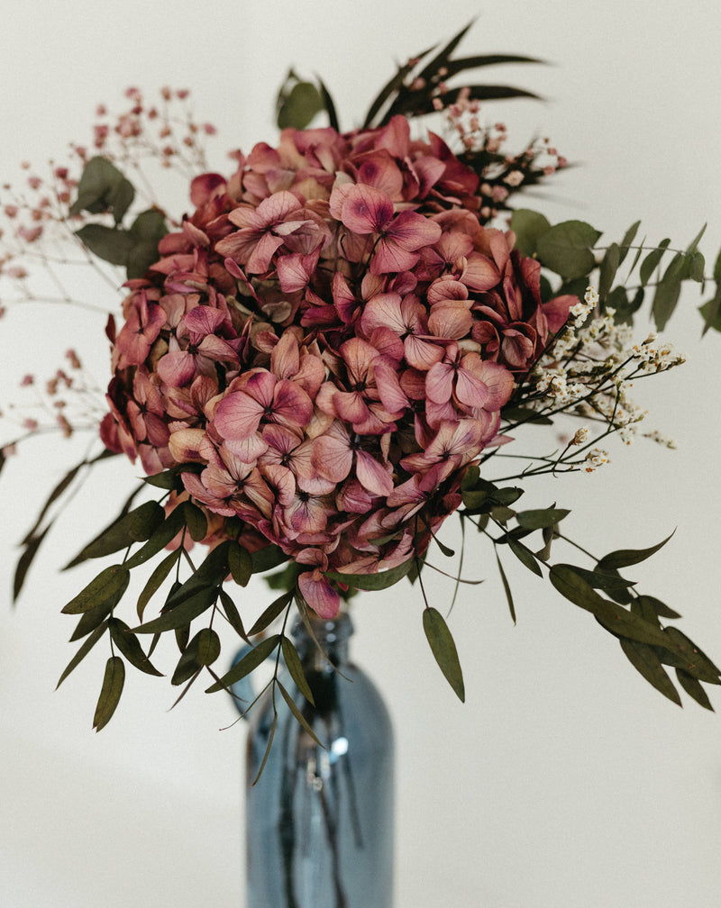 VIOLETTE BOUQUET