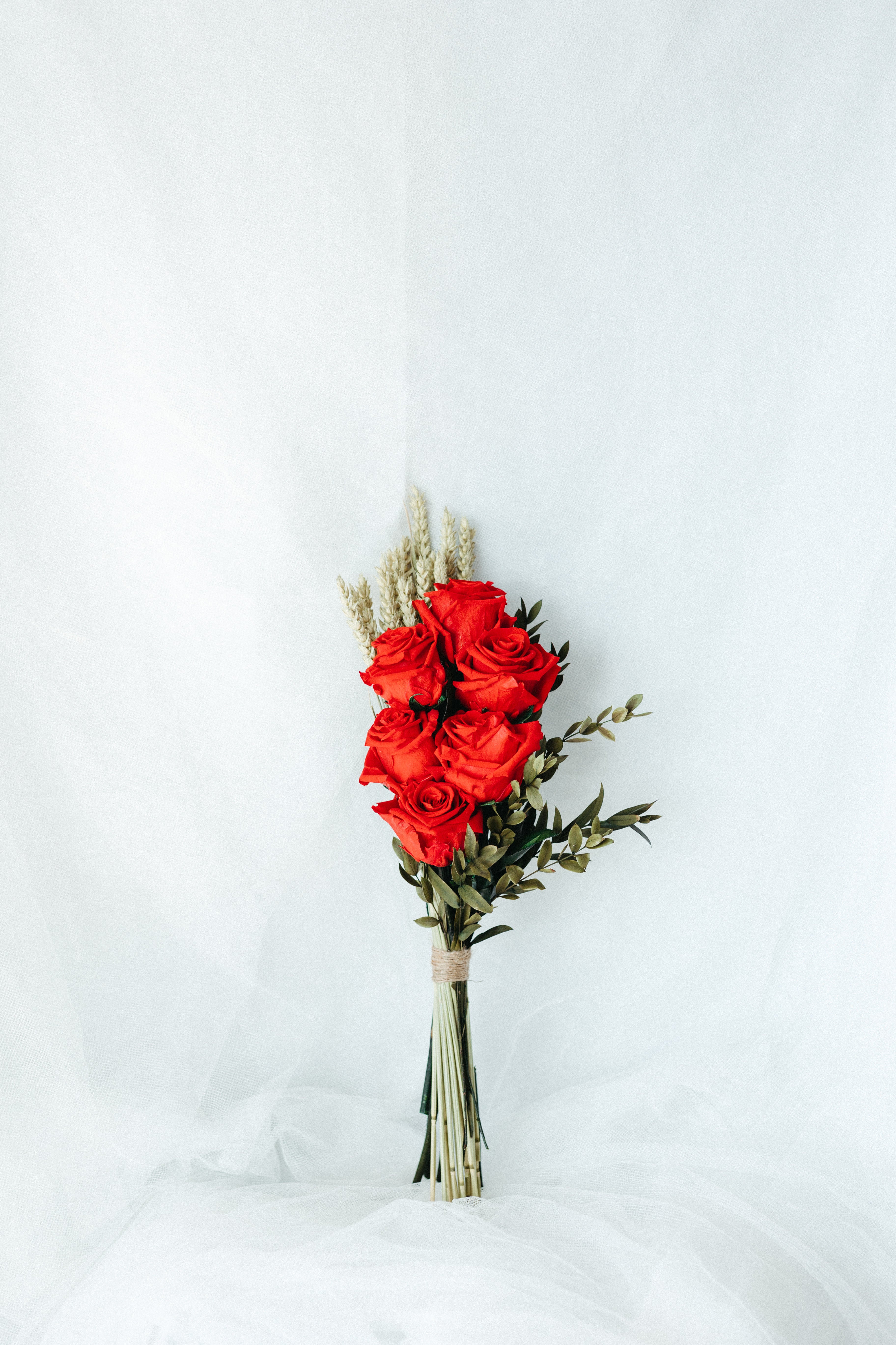 ROSA SANT JORDI
