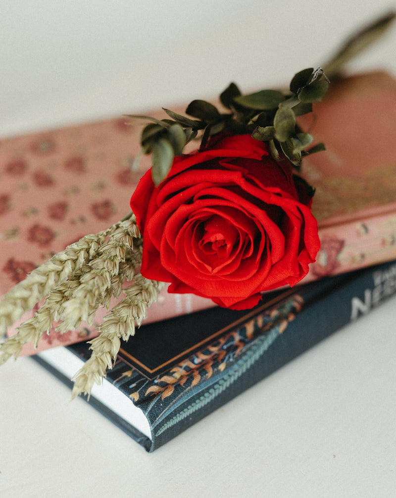 libro y rosa
