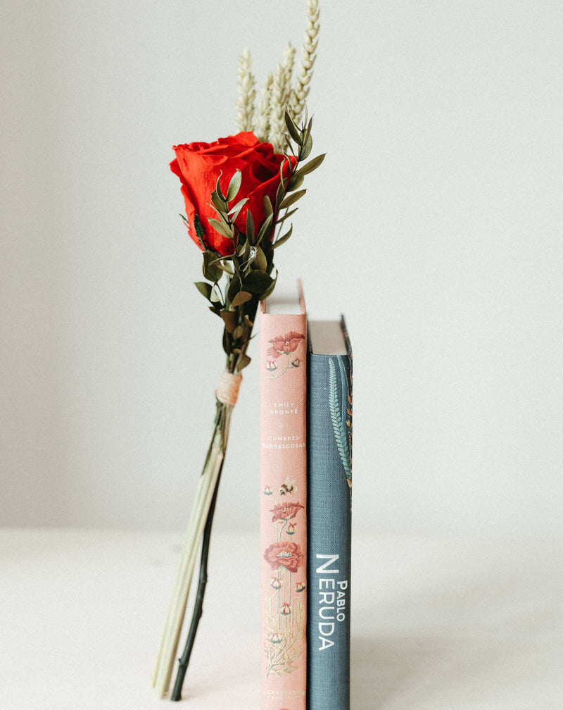 regalar libro y rosa