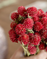 RED PERPETUAL BOUQUET