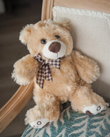 Osito Peluche